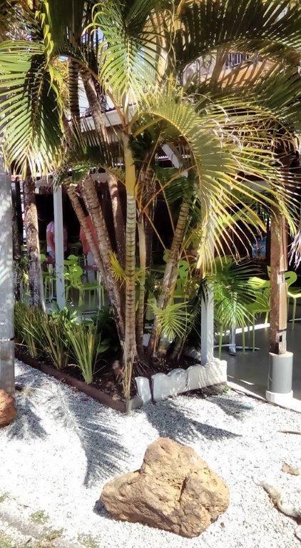 Hotel Des Amandiers 카옌 외부 사진